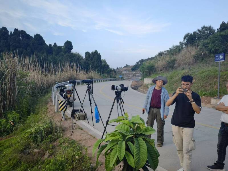 阳山县电商产品视频拍摄制作：如何打造高转化的电商视觉内容？